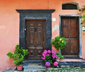 vasi, fiori, porte, legno, piante, verde, rosa, due, ortensie, gradini, zerbino, scalini, porta, casa