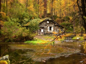 bosco, alberi, rami, acqua, verde, porta, autunno, giallo, finestra, casa, foglie, stagno, casetta, lago, casolare, pietra, tetto, fiume, baita