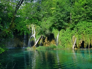 verde, alberi, acqua, cascata, fiume, lago, riflesso, cascate