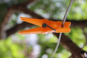 molletta, filo, verde, arancione, rami, sfocato, arancio, marrone, ferro, sfondo, metallo, bucato, foglie, ramo, albero, plastica