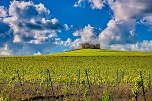 nuvole, cielo, verde, azzurro, casolare, collina, casa, vigneto, paesaggio, cascina, pali, viti, filari, bianco, finestre, campagna, vigne
