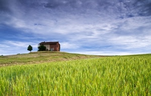 cielo, casa, campo, nuvole, verde, albero, erba, campagna, prato, grano, paesaggio, casolare, cascina
