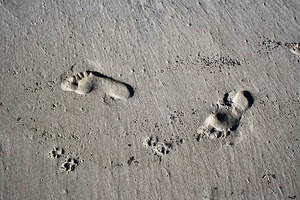 sabbia, orme, impronte, piedi, piede, spiaggia, grigio, dita, rilievo, due