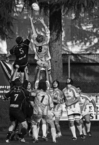 palla, sport, bianconero, numeri, giocatori, rugby, ovale