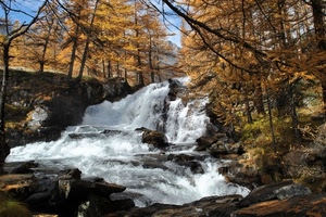 alberi, cascata, acqua, bosco, autunno, torrente, rocce, bianco, giallo, sassi, spruzzi, verde, schiuma, fiume, cielo, roccia, rami