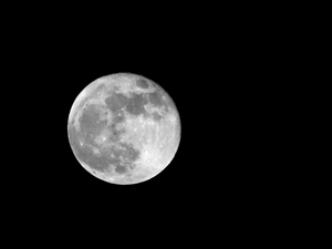 luna, nero, crateri, piena, bianco, notte, astro, cielo, bianconero