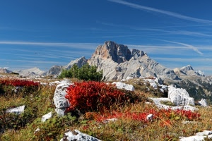 montagna, rocce, cielo, montagne, rosso, fiori, erba, verde, roccia, piante