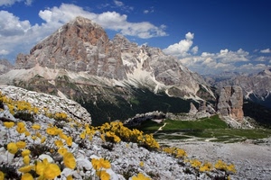 fiori, montagna, nuvole, giallo, cielo, montagne, prati, roccia, neve