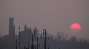 sole, nebbia, torre, tramonto, rami, alberi, grigio, rosso, controluce, foschia