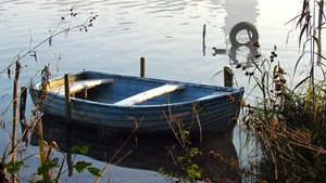 barca, acqua, lago, gomma, azzurra, canne, ormeggio, erba, pali