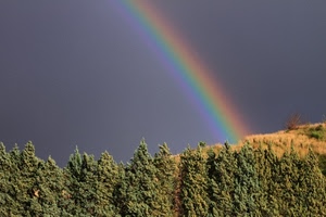 alberi, arcobaleno, cielo, verde, colori, iride, giallo, pini, collina, montagna