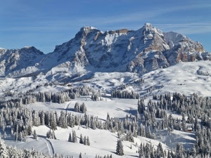 neve, alberi, inverno, bianco, montagna, montagne, panorama, paesaggio, pini