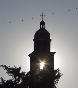 campanile, sole, controluce, uccelli, raggi, albero, banderuola, cielo, croce, alberi, riflesso, nero, volo, silhouette, torre, rami