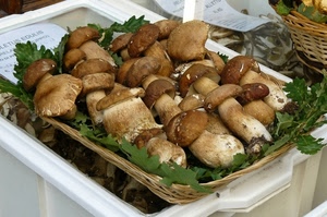 funghi, foglie, porcini, cesto, marrone, verde, cestino, cibo, natura
