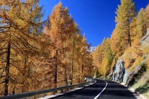 strada, alberi, curva, cielo, autunno, giallo, azzurro, montagna, linea