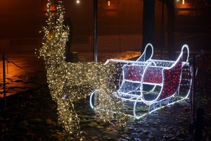 luci, slitta, renna, natale, notte, luminarie, foglie, rosso