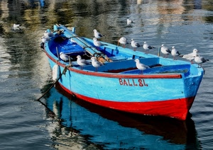 barca, gabbiani, uccelli, acqua, rosso, mare, azzurro, riflesso, celeste, riflessi