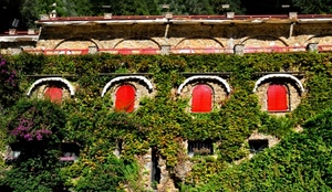 finestre, rosso, edera, verde, fiori, archi, rosse, persiane, piante