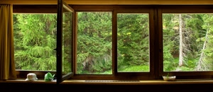verde, alberi, finestra, vetri, legno, finestre, tenda, vetro, aperta, cappello, anta, piante
