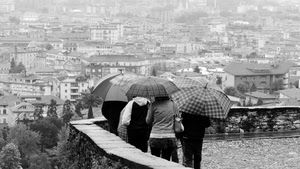 ombrelli, pioggia, persone, città, belvedere, bianconero, alberi, panorama, terrazza, case, tetti, muretto, terrazzo, affaccio, parapetto, finestre