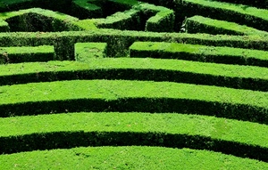 verde, labirinto, siepi, siepe, giardino, parco, geometrico
