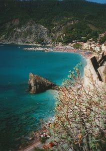 mare, spiaggia, scoglio, panorama, albero, pianta