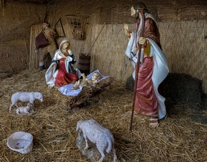 presepe, pecore, paglia, madonna, statue, natività, gesù, culla, famiglia, giuseppe