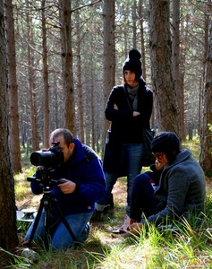 fotografo, bosco, tre, alberi, erba, cavalletto, fotografia, fotografi, assistenti