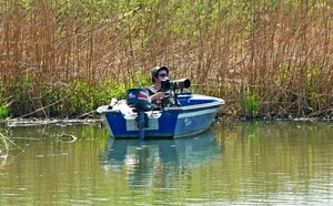 fotografo, barca, acqua, lago, attesa, motore, stagno, appostamento, palude