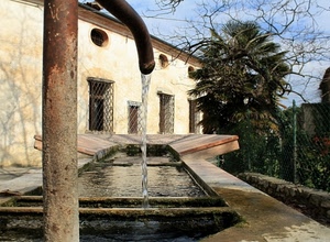 acqua, lavatoio, alberi, casa, fontana, cannella, grate, finestre, getto