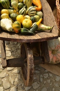 ruota, zucche, legno, ortaggi, carriola, giallo, verde, raggi, zucchine, cesto, sassi, ciottoli, zucca, pavimento, autunno