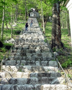 persone, gradini, scala, salita, bosco, scale, croce, salire, cappella, pietre, verde, prospettiva, alberi