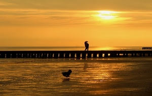 tramonto, mare, sole, pontile, cielo, nuvole, acqua, persone, molo, coppia, alba, giallo, panorama, uccello