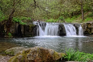 alberi, verde, acqua, cascata, erba, bosco, fiume, natura, laghetto, cascate, sassi, rami, torrente, rocce, massi, paesaggio