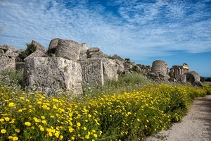 fiori, ruderi, giallo, rovine, archeologia, cielo, pietre